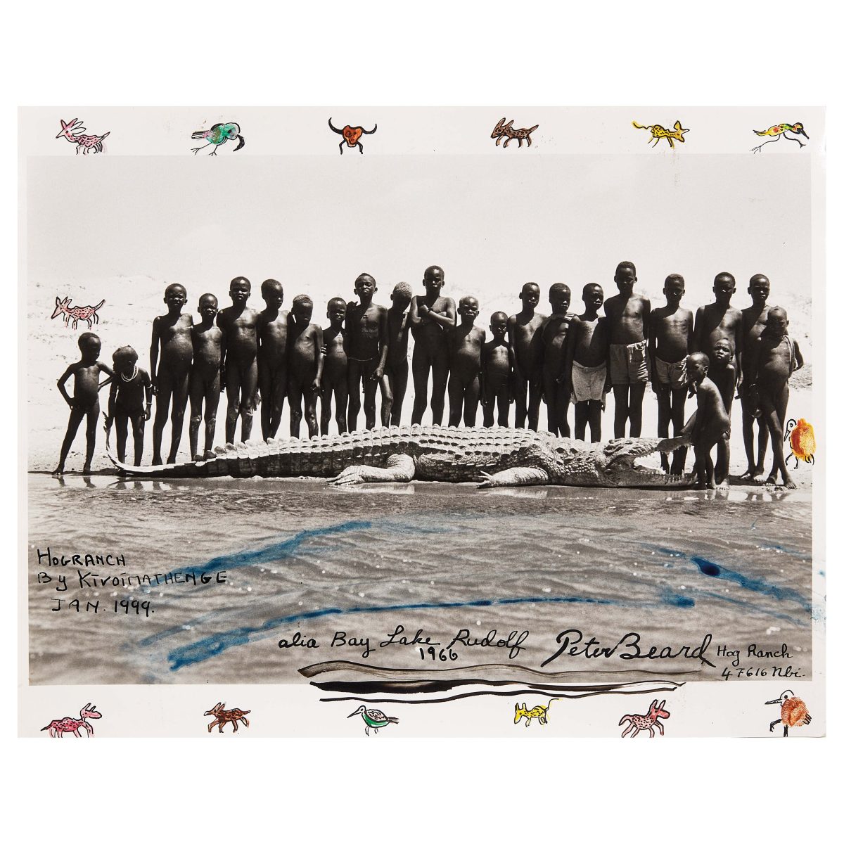 Galleria foto 'All’asta le opere di Peter Beard' - foto 3