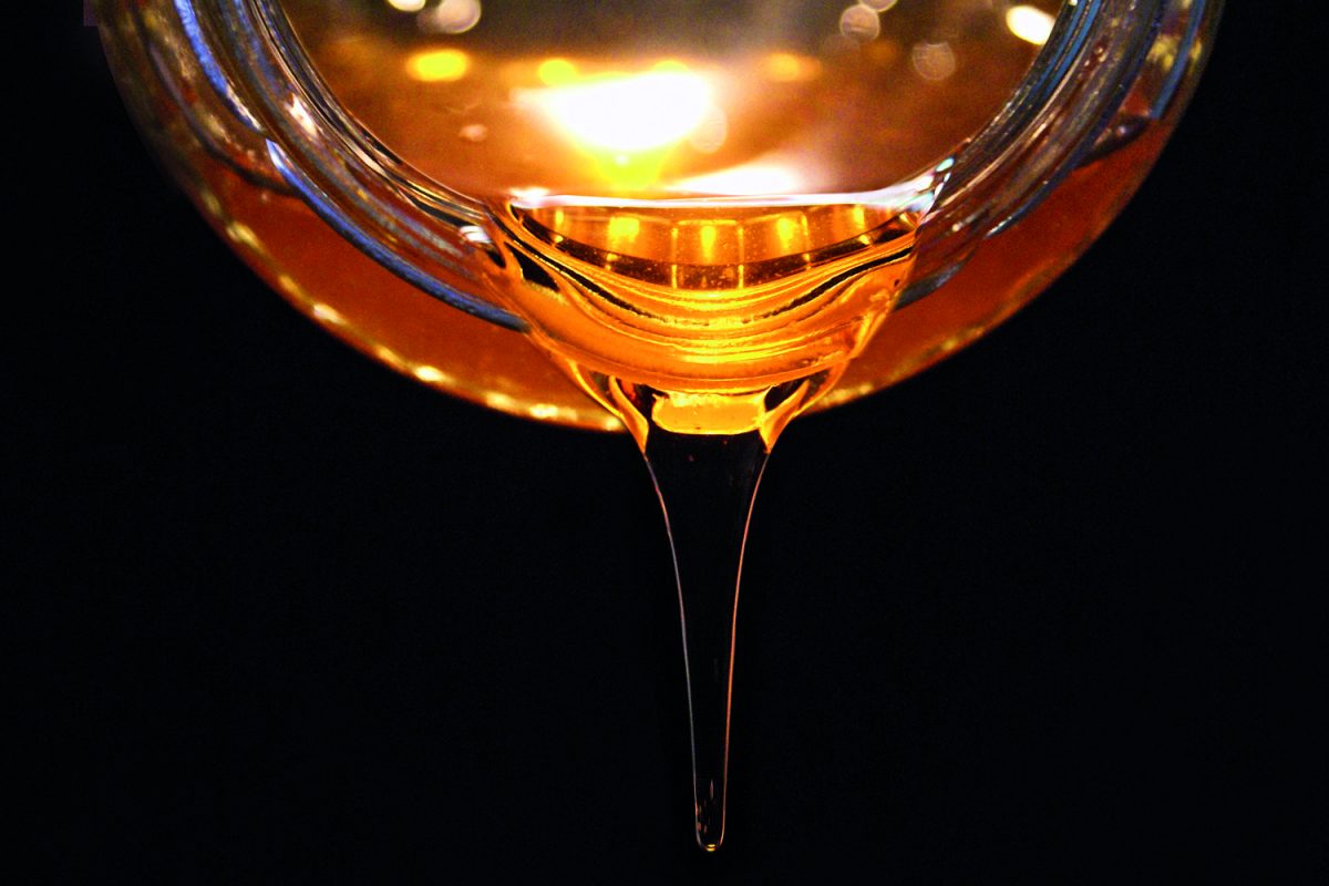 Il lato oscuro del miele