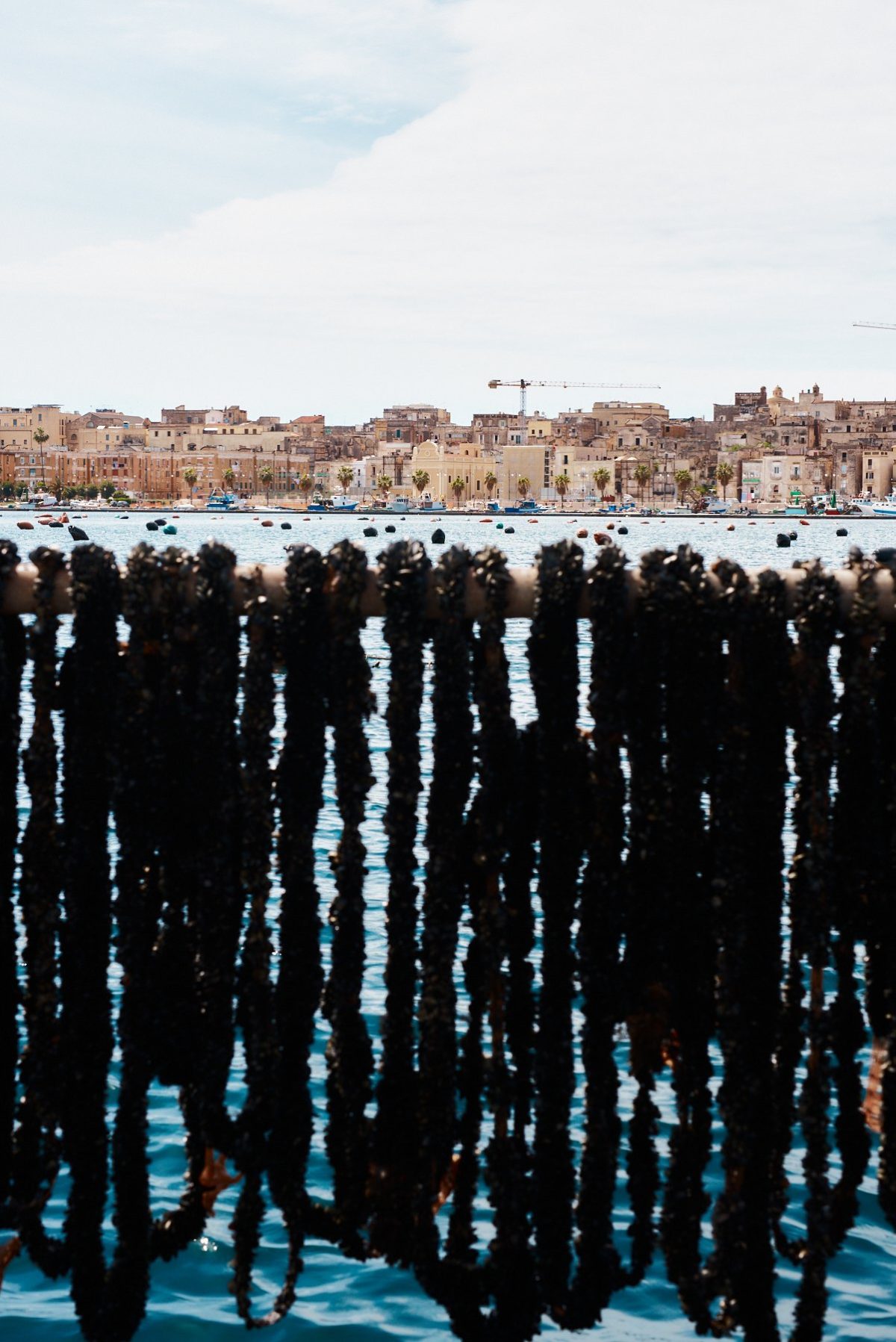 Galleria foto 'La rinascita di Taranto passa dal food' - foto 4
