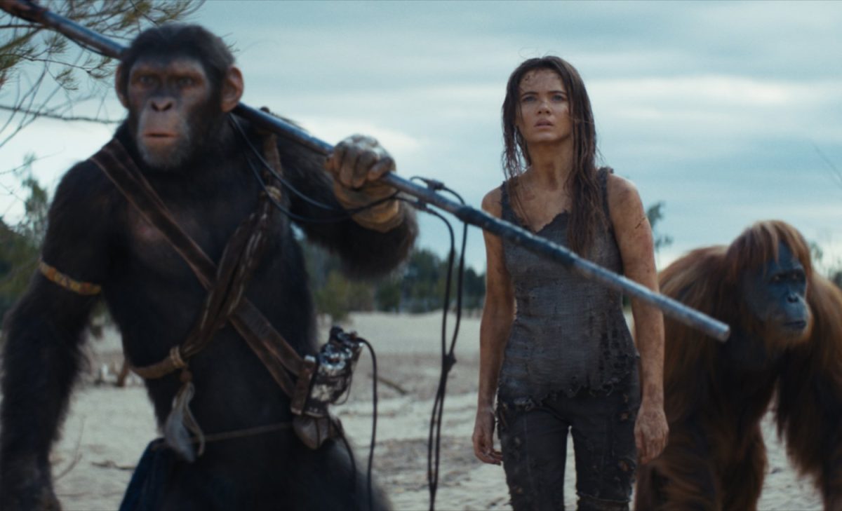 Galleria foto 'Gli incassi al cinema in Italia: nel weekend troneggia Il regno del pianeta delle scimmie' - foto 2