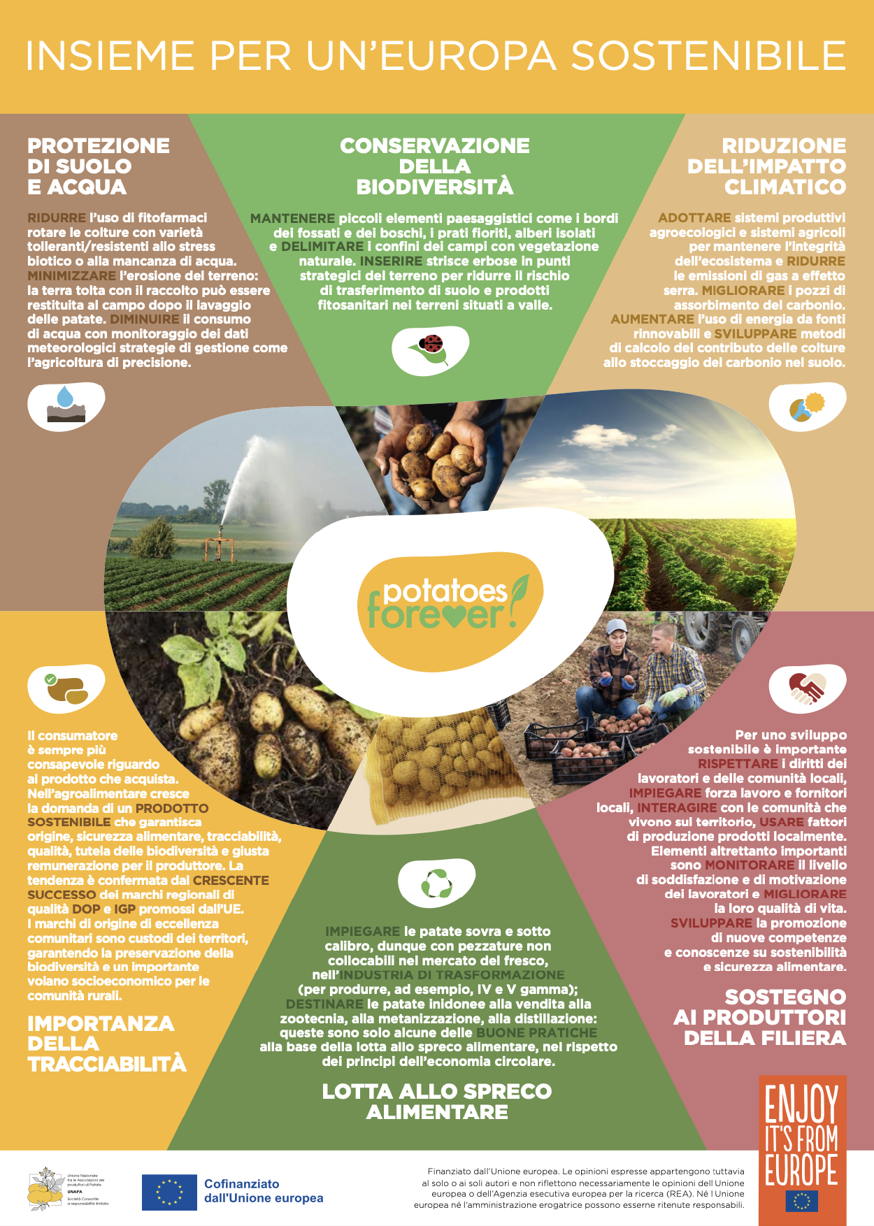 Potatoes Forever!: Quanto i consumatori conoscono le patate?
