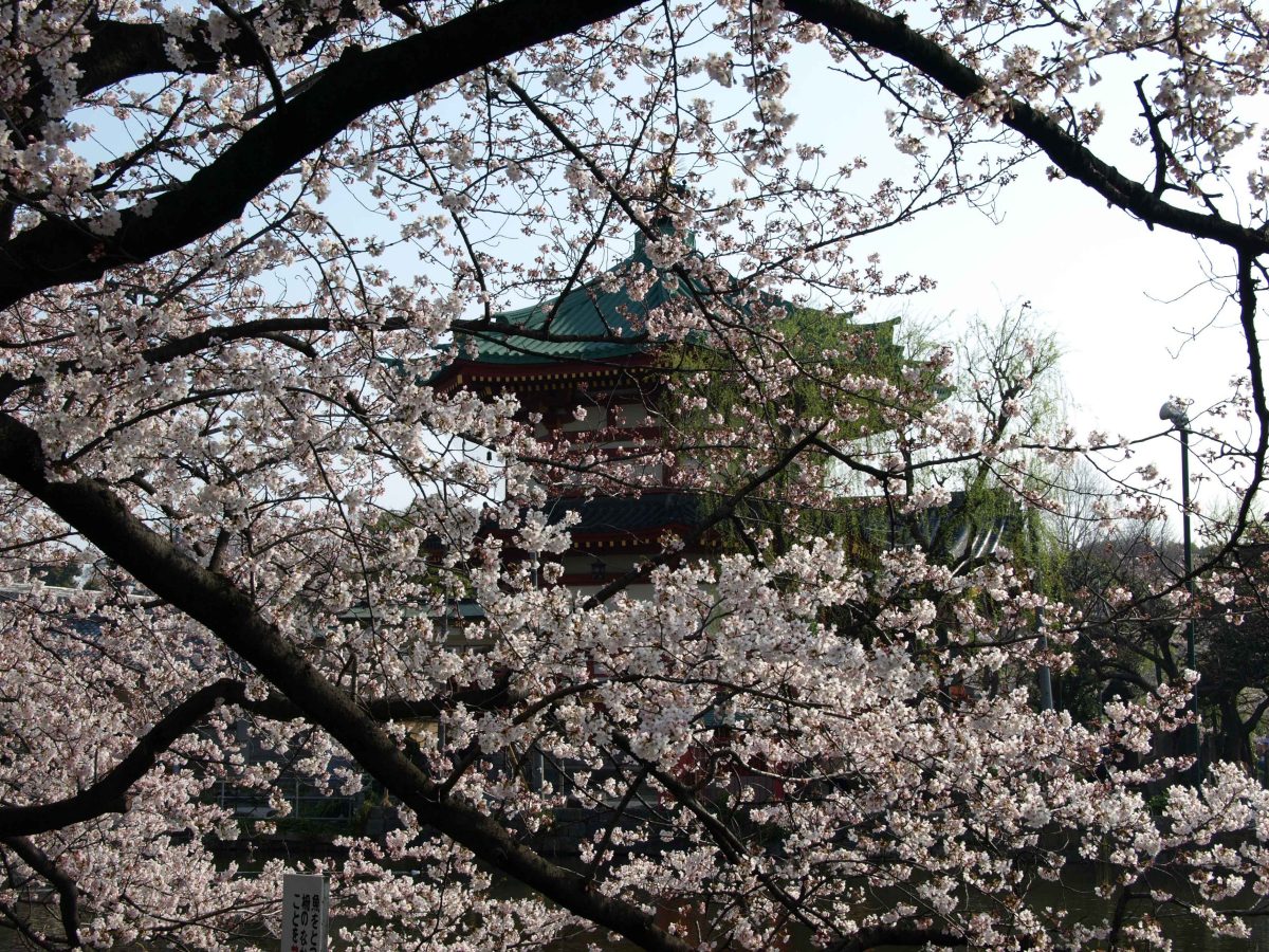 Galleria foto 'Pasqua 2024: le mete all’estero consigliate' - foto 7