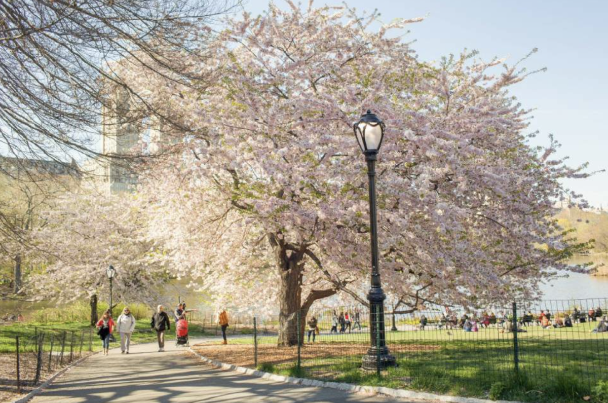 Galleria foto 'Pasqua 2024: le mete all’estero consigliate' - foto 8