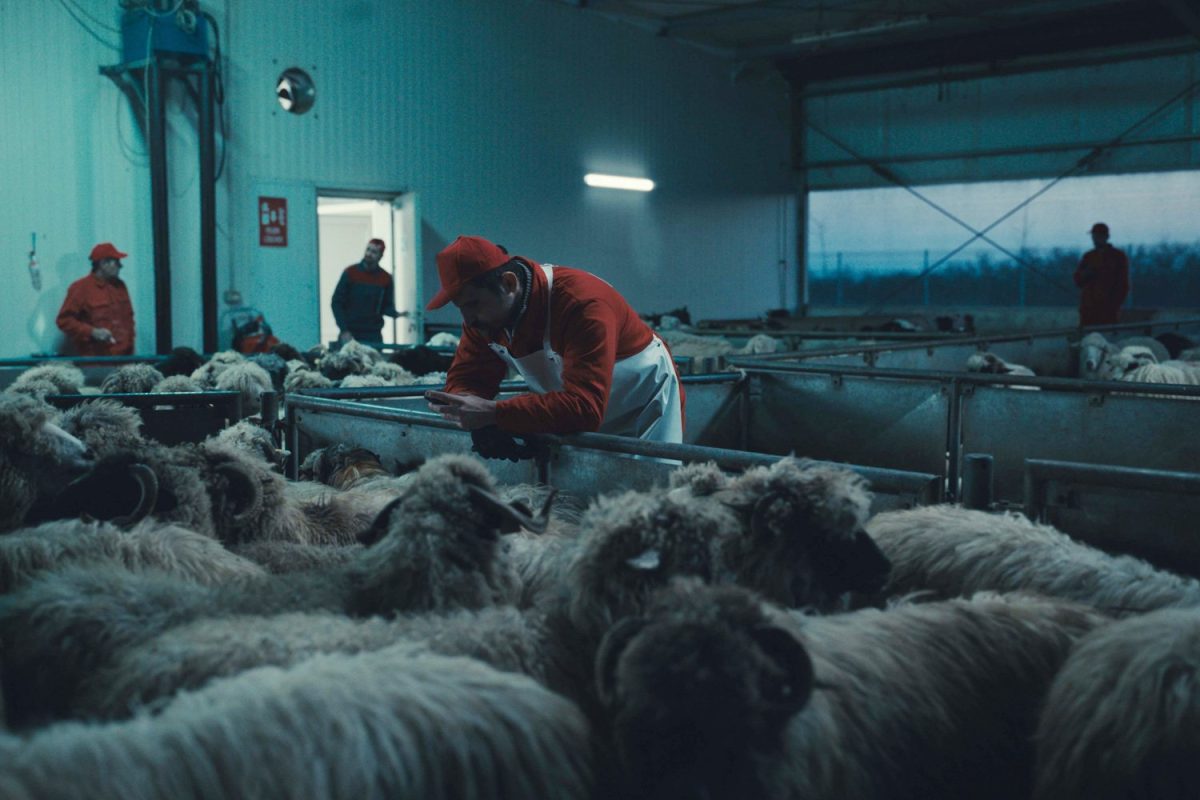 Galleria foto 'I film più belli del 2023 da tutto il mondo. Non solo Barbie…' - foto 11