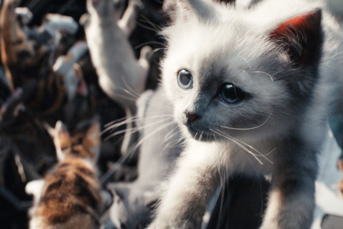 Galleria foto 'Marvel, ma che succede? Troppi film e trame intricate: incassi al ribasso' - foto 2