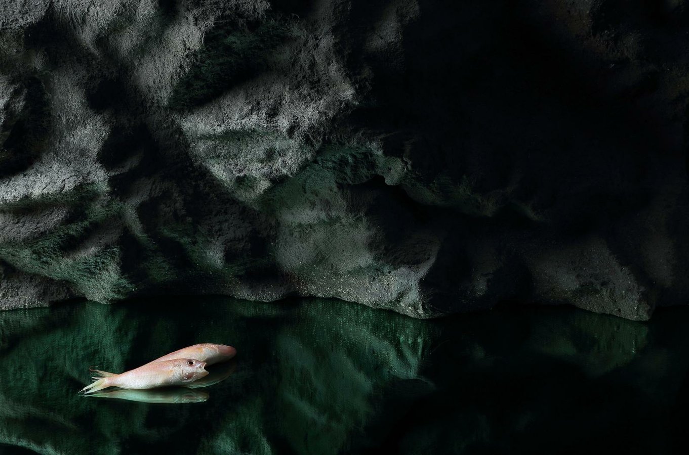 Milano Design Week: il Fuorisalone alle 5Vie