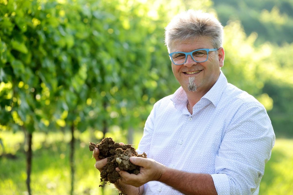 Galleria foto 'Giù le mani dalle etichette e dal vino italiano' - foto 2