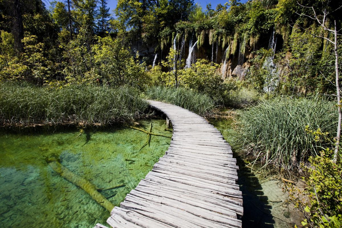 Galleria foto 'I parchi naturali più famosi d’Europa' - foto 7