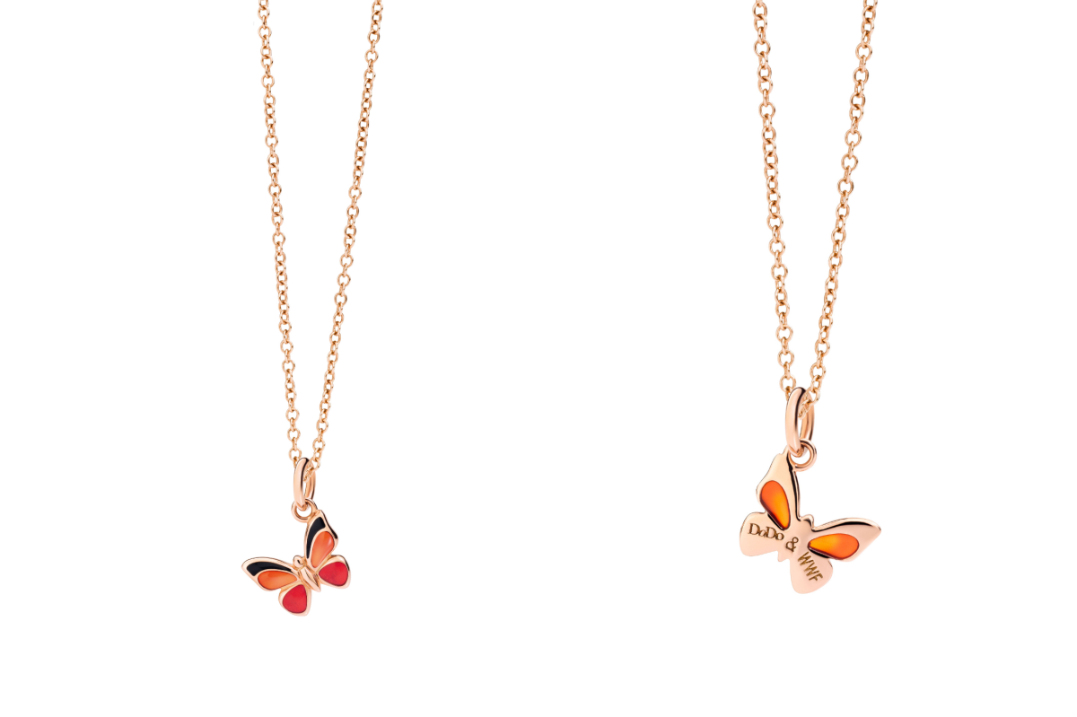 Galleria foto 'La biodiversità vola su ali di farfalla' - foto 16