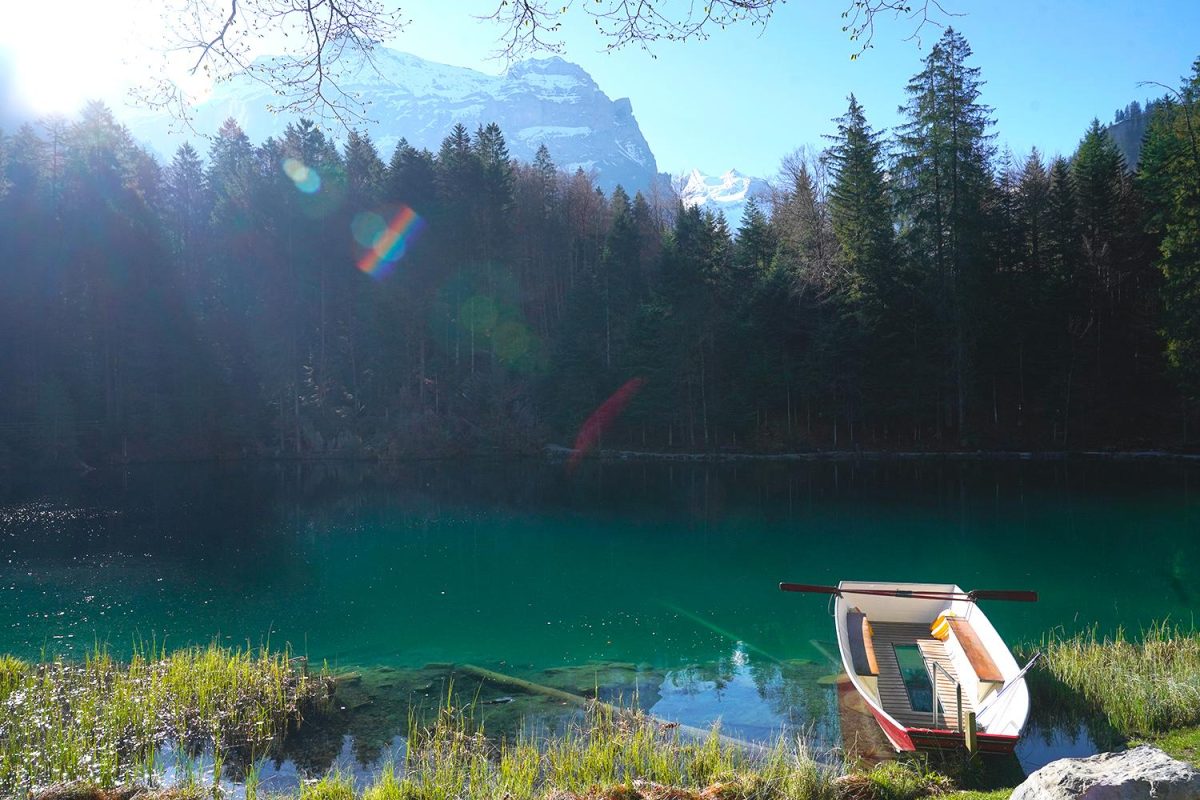 Galleria foto 'A bordo del Trenino verde delle Alpi' - foto 20