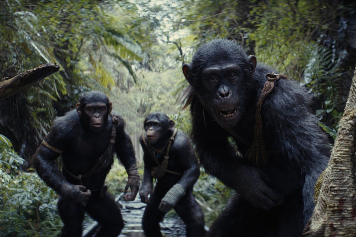 Galleria foto 'Incassi di metà 2024: vola Inside out 2, sorpresa cinema d’autore' - foto 2