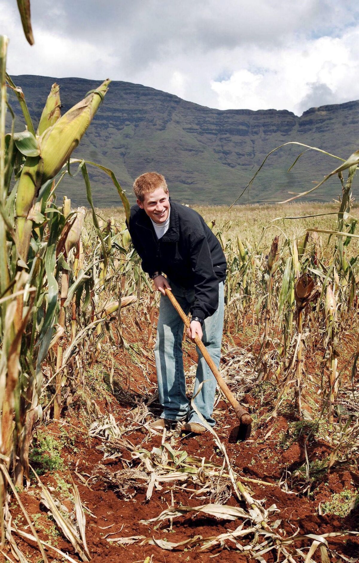 Harry d’Inghilterra lascia l’ente di beneficenza fondato in onore di Lady D: ecco cosa è successo