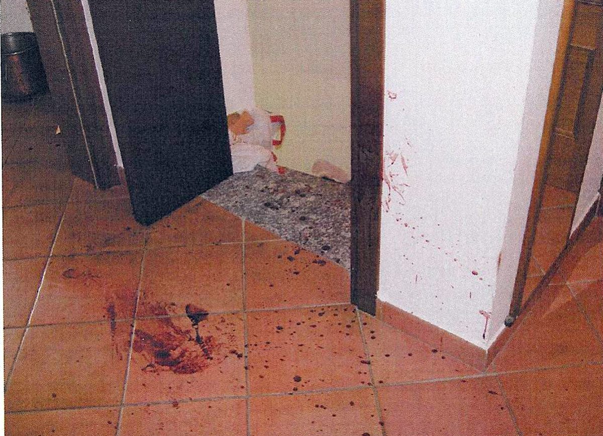 Galleria foto 'Delitto di Garlasco, Andrea Sempio e il Dna: non è l’unica traccia che segue la Procura' - foto 4