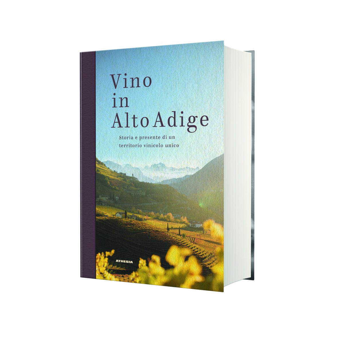 Vino in Alto Adige: il libro definitivo sulla storia, il presente e il futuro del vino