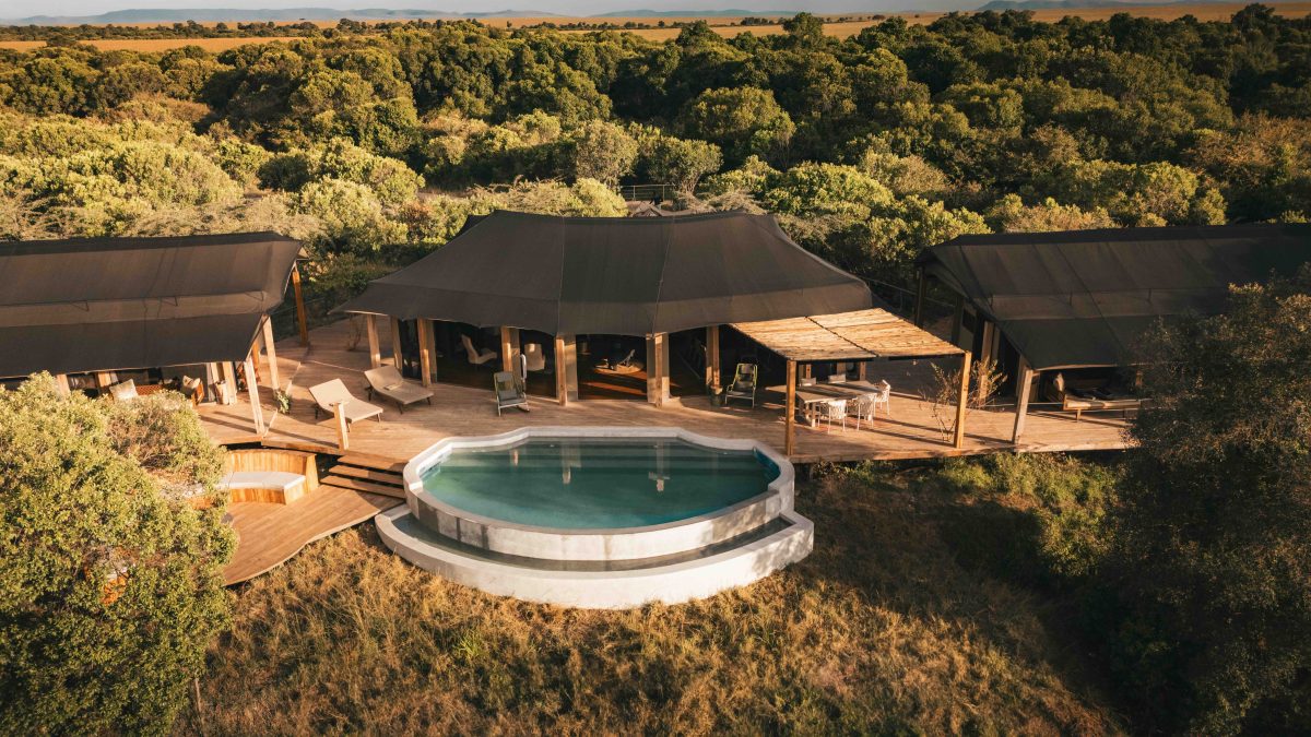 Galleria foto 'Safari di lusso: Viaggio nell’eccellenza africana' - foto 2