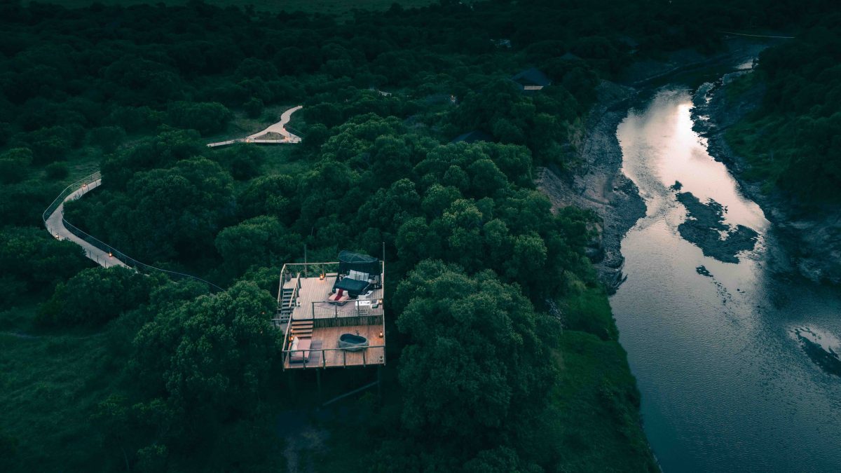 Galleria foto 'Safari di lusso: Viaggio nell’eccellenza africana' - foto 3