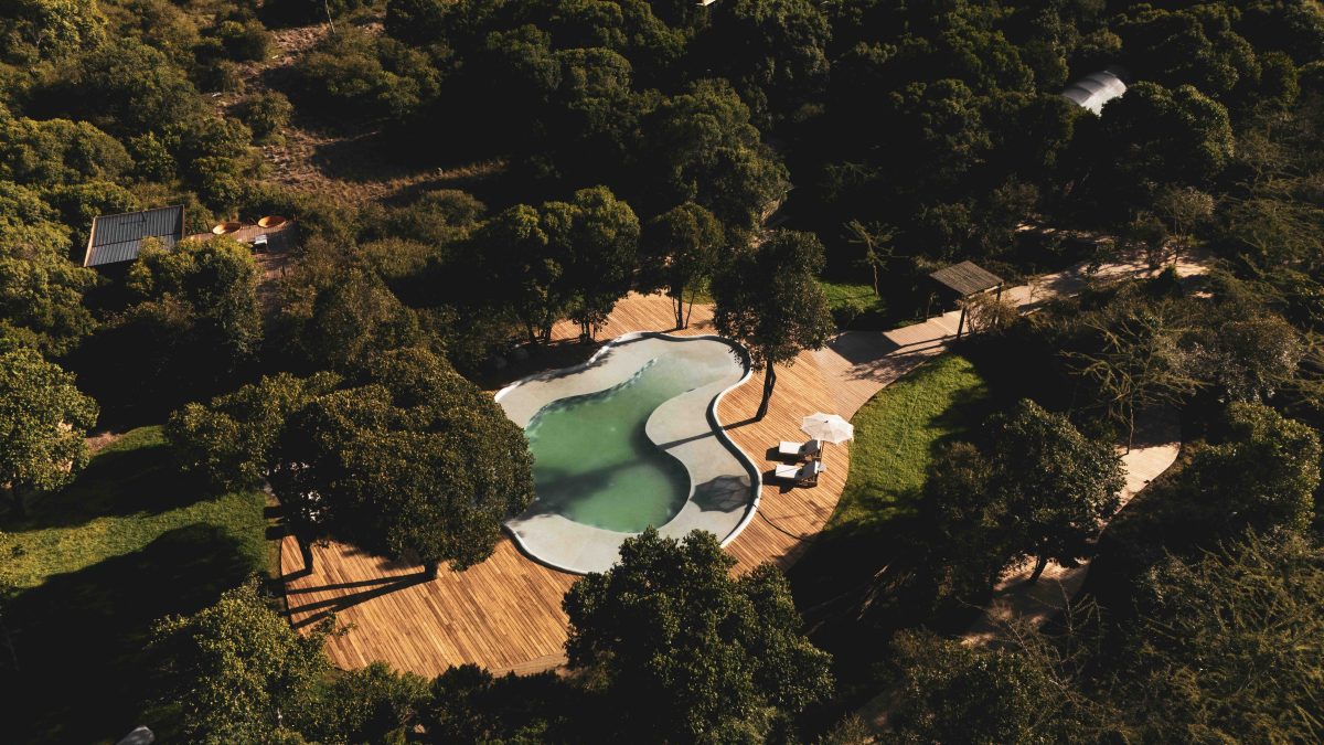 Galleria foto 'Safari di lusso: Viaggio nell’eccellenza africana' - foto 4