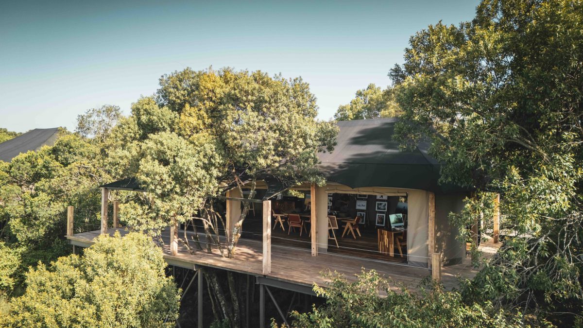 Galleria foto 'Safari di lusso: Viaggio nell’eccellenza africana' - foto 5