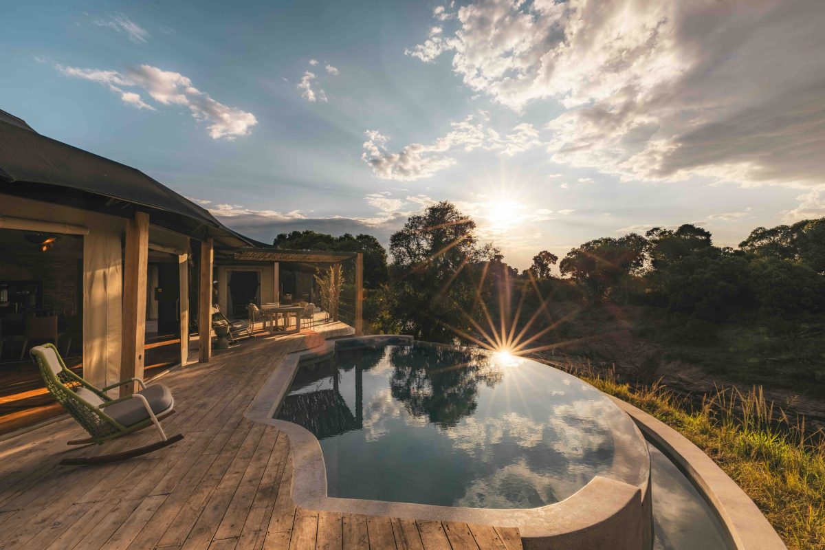 Galleria foto 'Safari di lusso: Viaggio nell’eccellenza africana' - foto 6