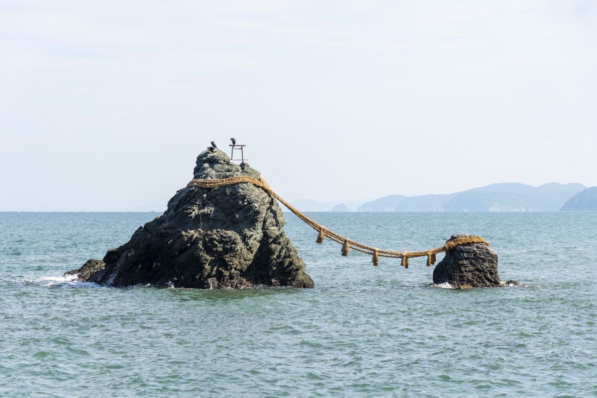 Galleria foto 'Primavera in Giappone: Guida a dove vedere i ciliegi in fiore' - foto 15