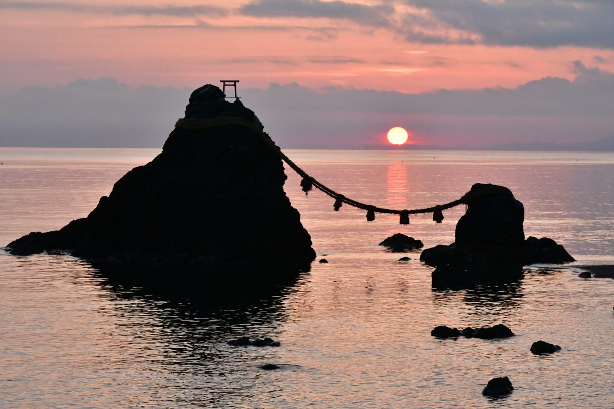 Galleria foto 'Primavera in Giappone: Guida a dove vedere i ciliegi in fiore' - foto 16