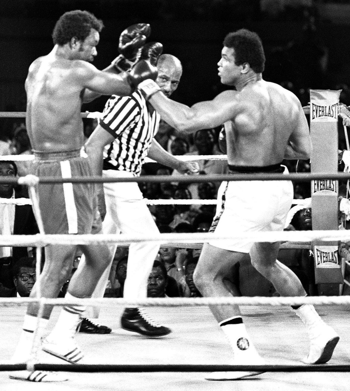 Galleria foto 'Morto George Foreman. Addio al “bad boy” leggenda del pugilato' - foto 2