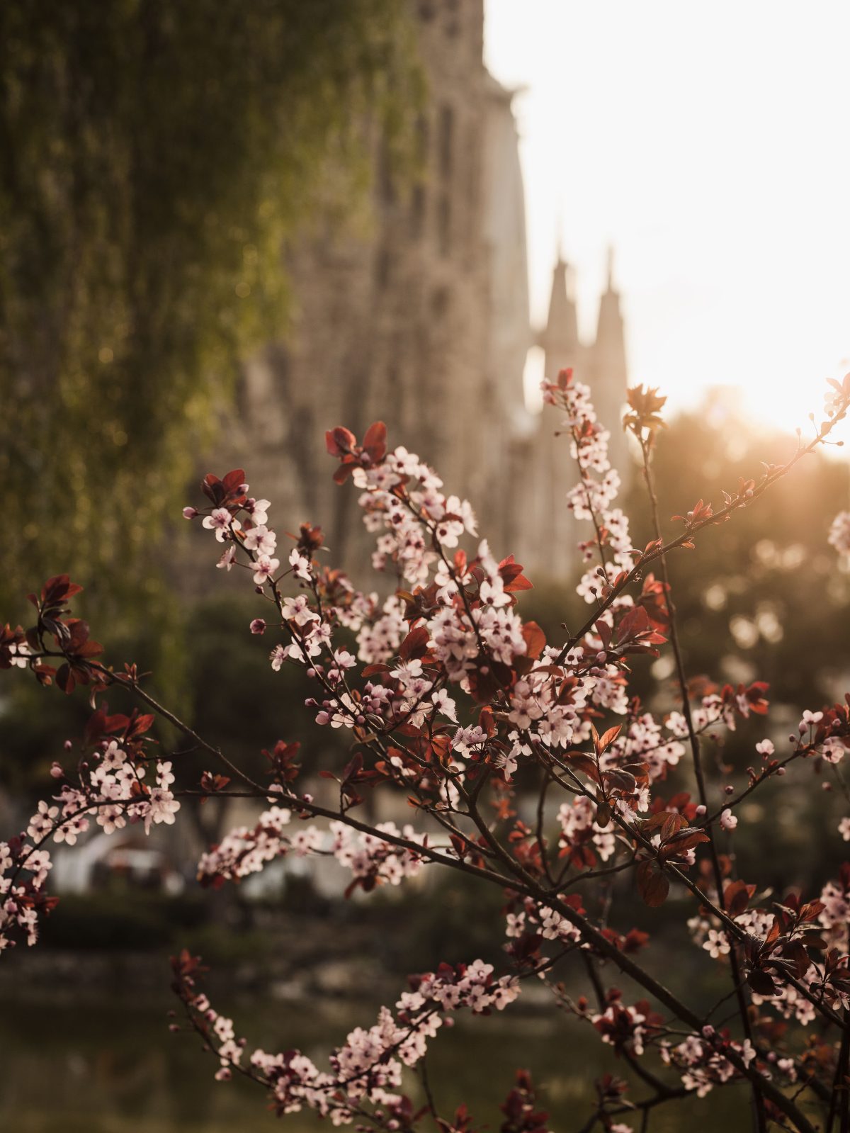 Galleria foto 'Vacanze di primavera 2025: le migliori mete e consigli su come prenotare' - foto 2