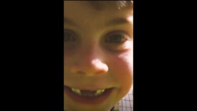 I sette anni del principe Louis