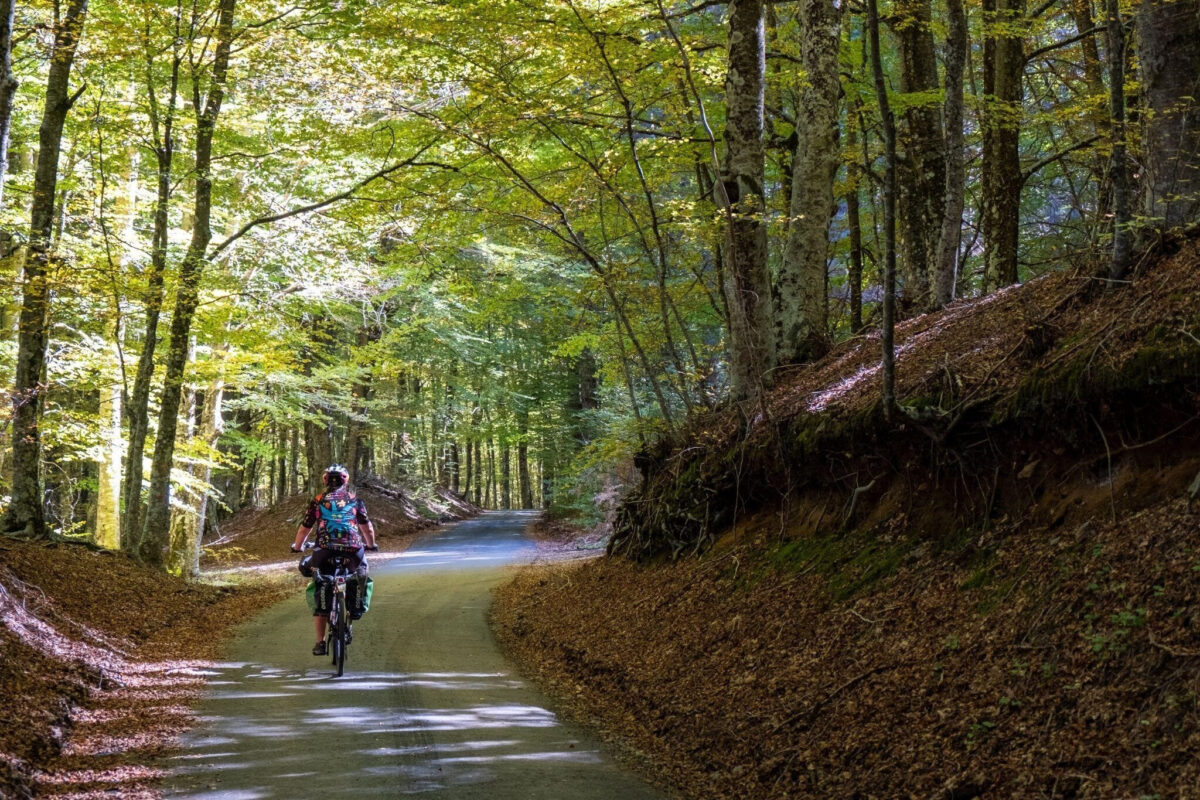 Giornata della Terra: 15 mete green per un viaggio responsabile