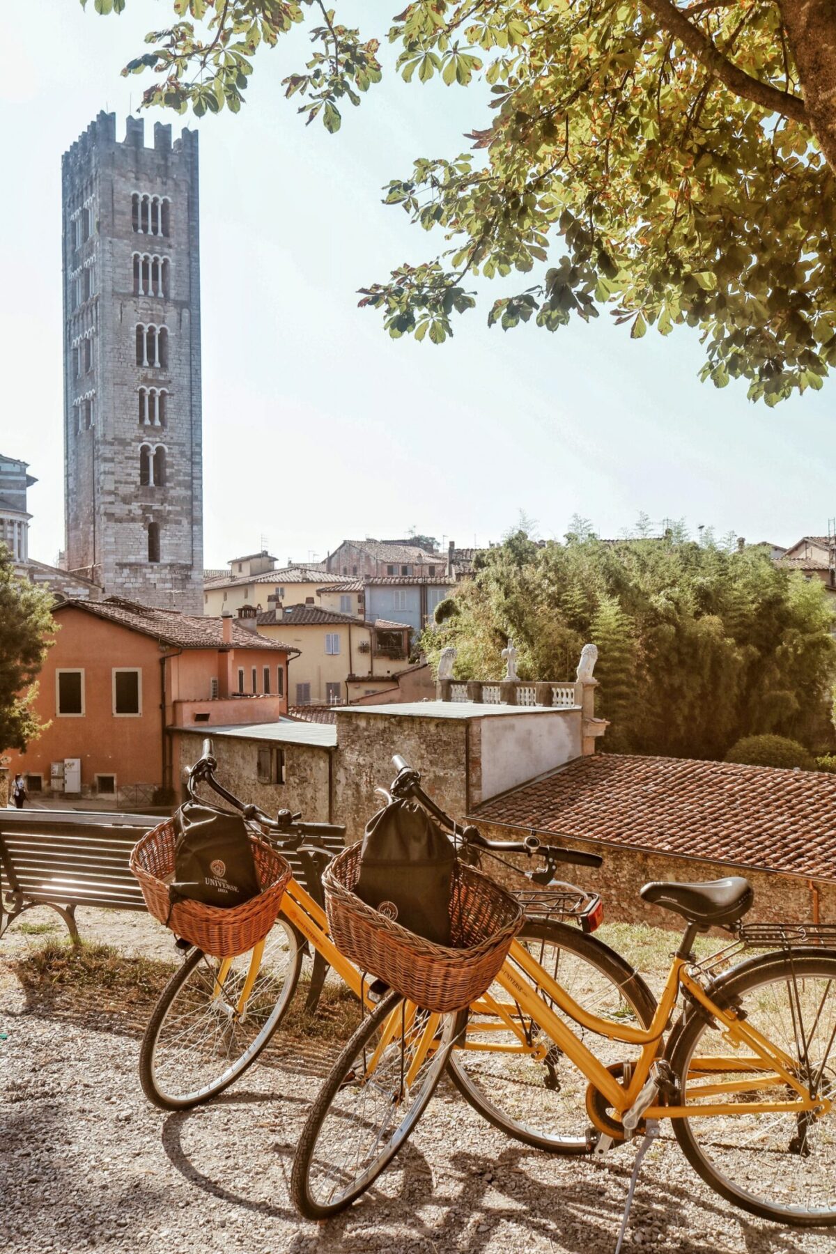 World Bike Day: quando pedalare diventa il nuovo lusso esperienziale