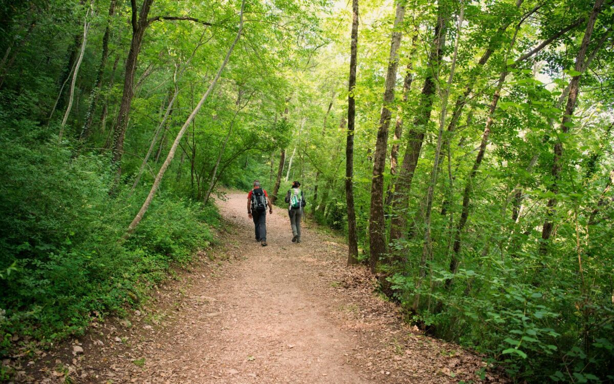 Cammini Aperti 2025: escursioni gratuite tra spiritualità e natura in Italia