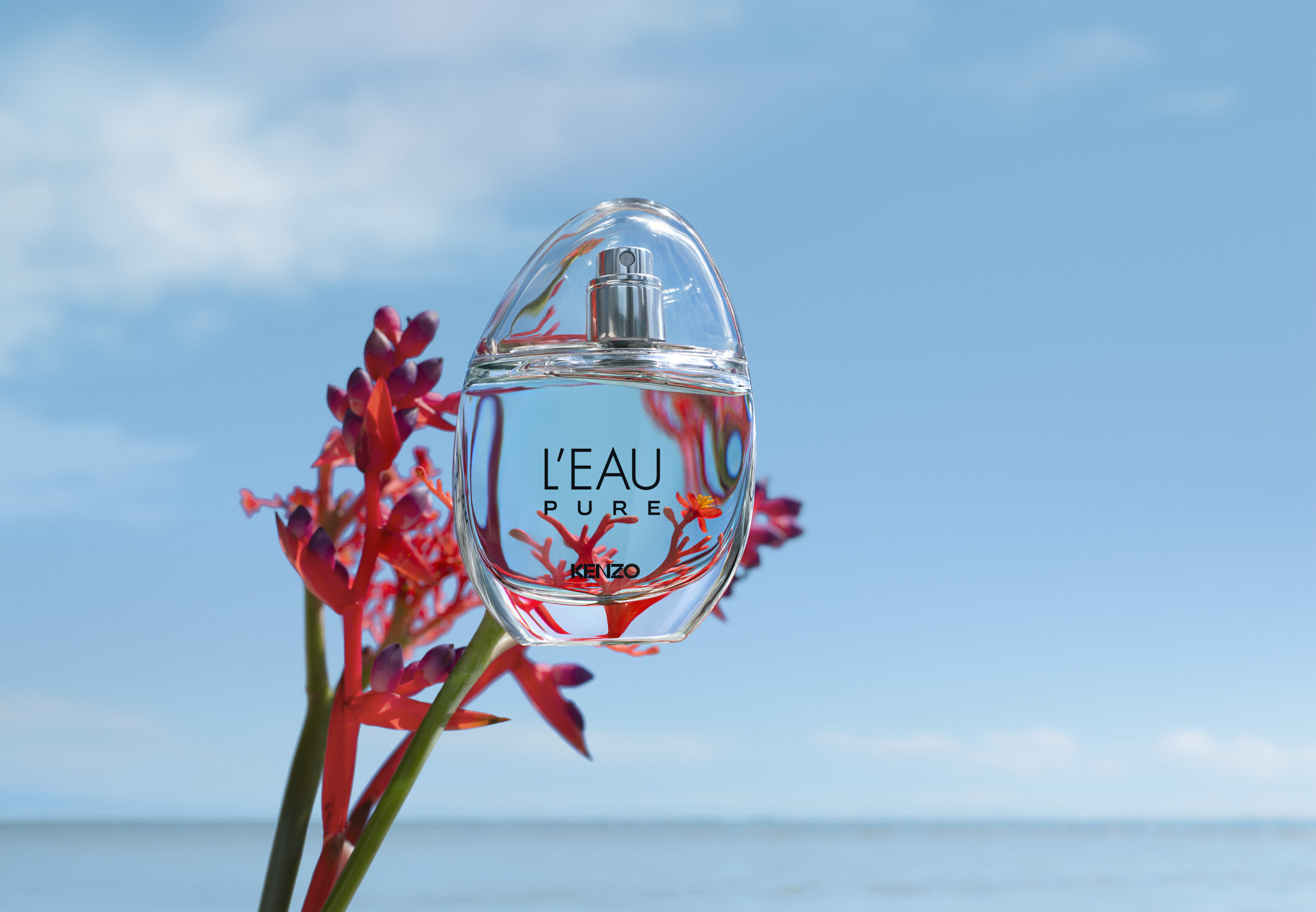 Kenzo Parfums insieme a Coral Gardeners per restituire i colori all’oceano Kenzo Parfums insieme a Coral Gardeners per restituire i colori all’oceano