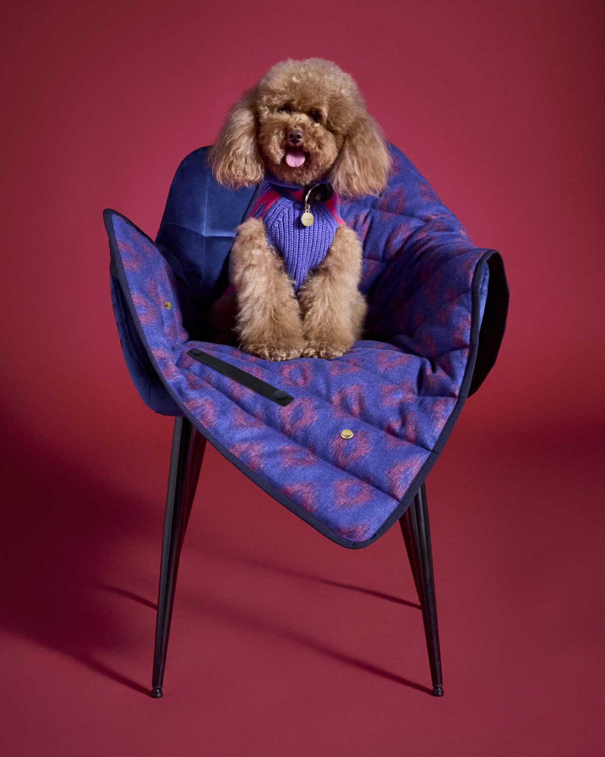 Da Fendi a Diego dalla Palma, quando gli amici a 4 zampe sono griffati