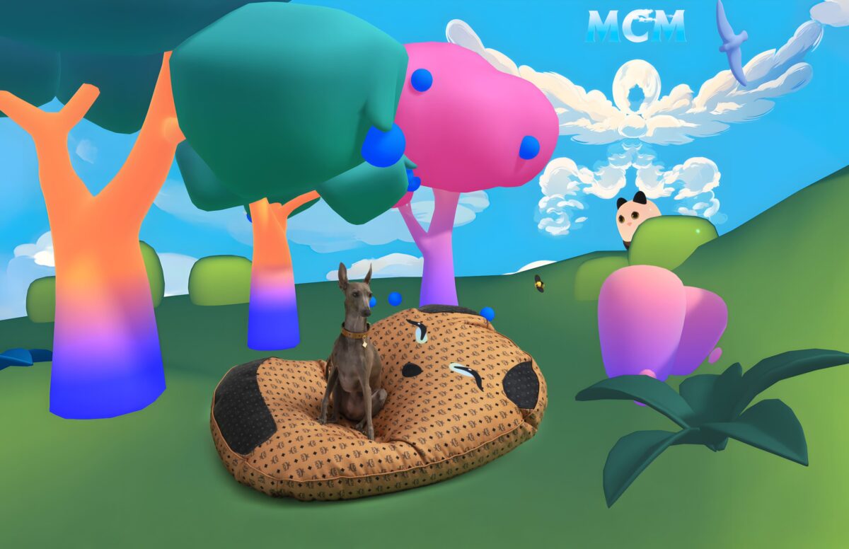 Da Fendi a Diego dalla Palma, quando gli amici a 4 zampe sono griffati