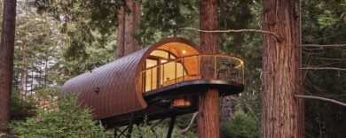 Sospesi nel verde: il bello di dormire sugli alberi