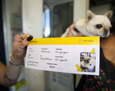 Giornata del Cane: i dati che non conosci e le mete da sogno per viaggiare insieme