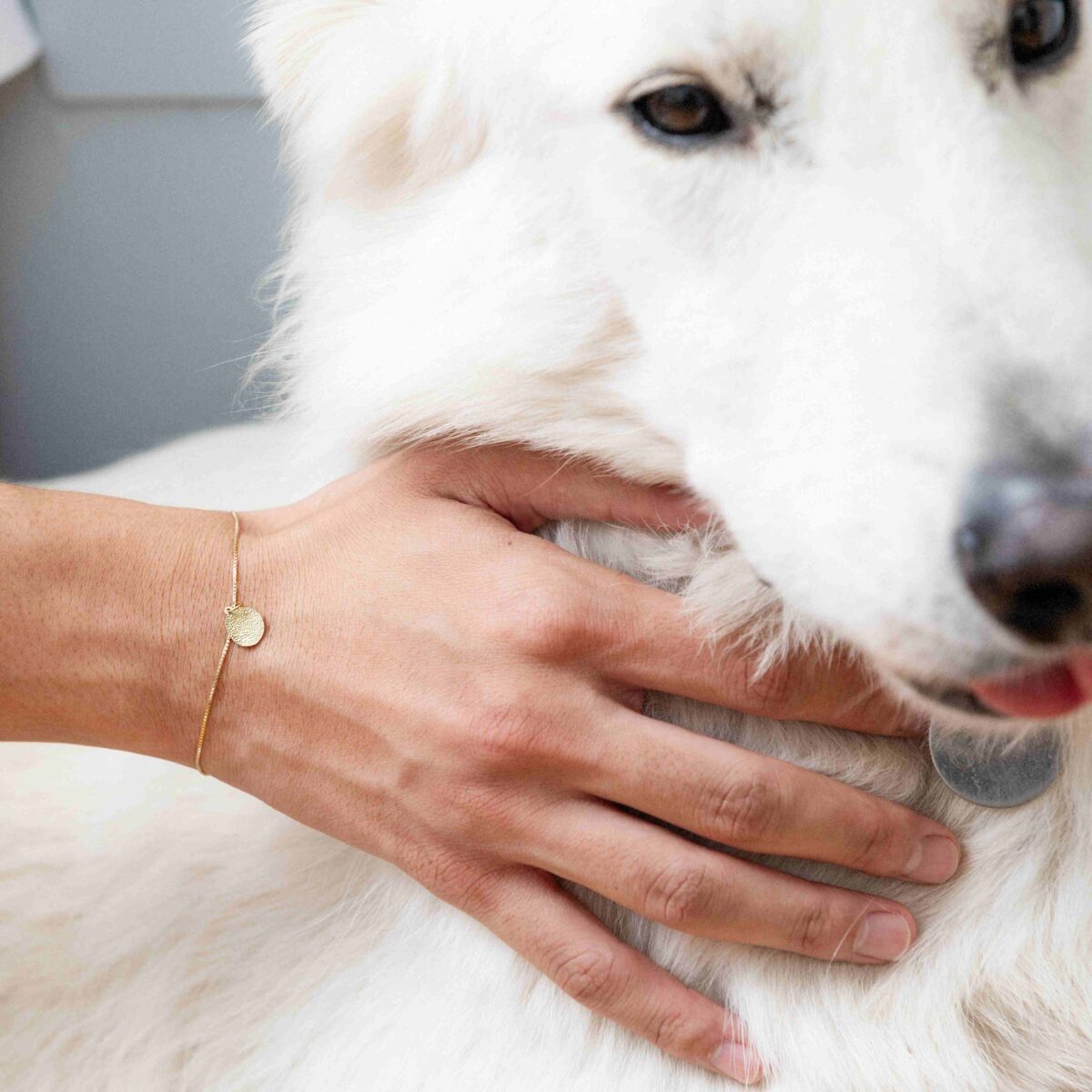 Atelier VM inaugura un nuovo capitolo in Giappone con H.P. France