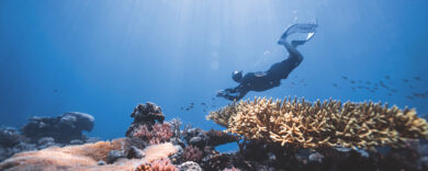 Micronesia segreta: il paradiso che impone un patto con la natura