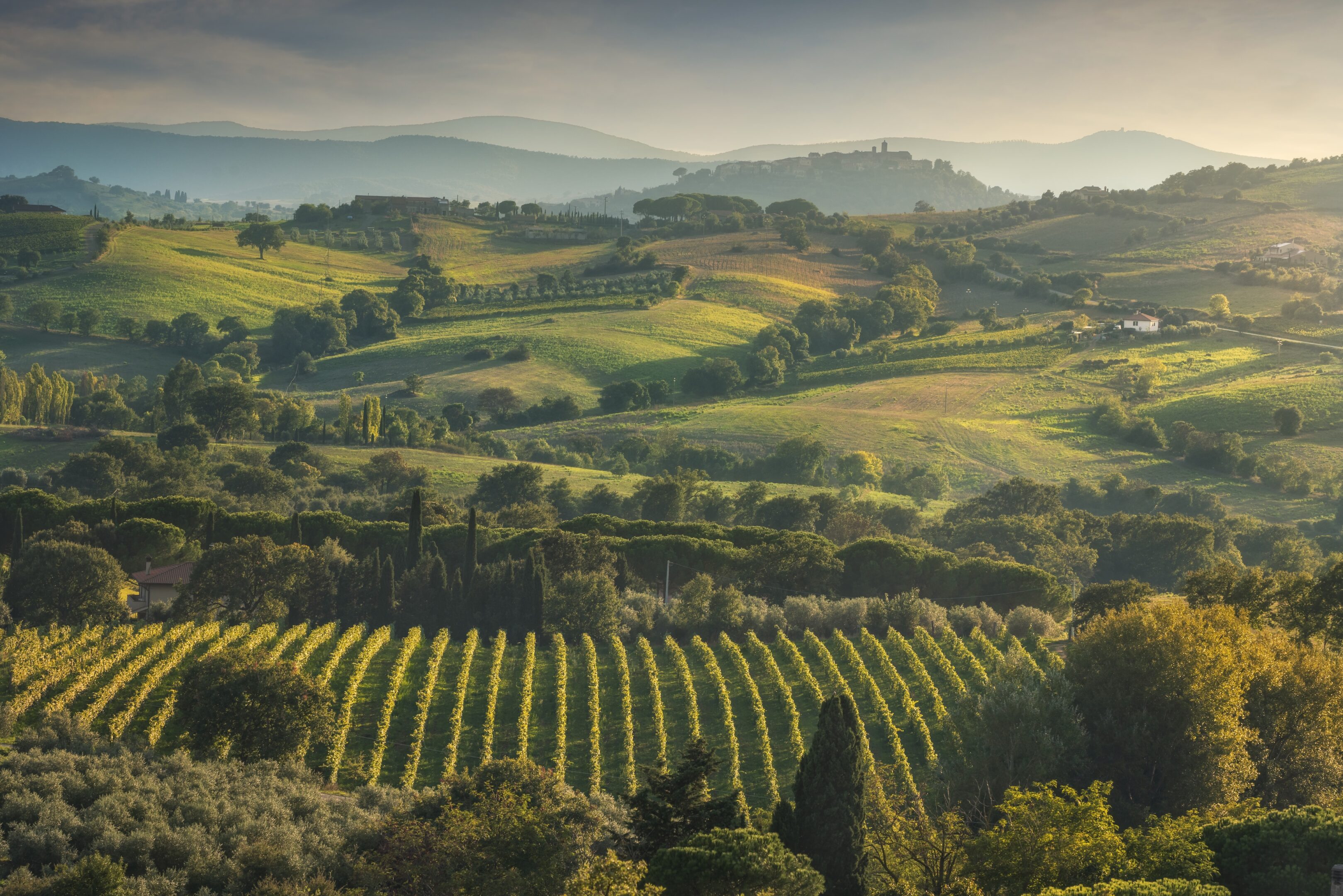 Le migliori osterie delle Cantine Toscane