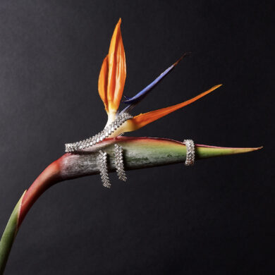 La Milano Jewelry Week torna con oltre 50 appuntamenti nel fine settimana