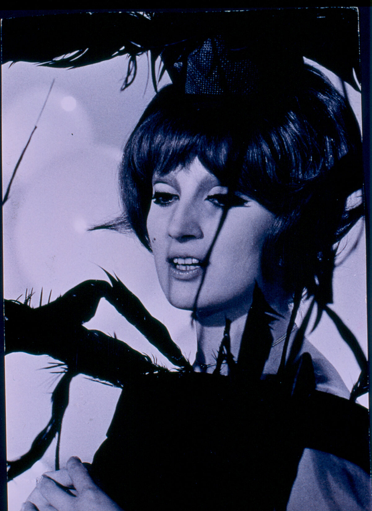 Mina e la Moda: sessant’anni di Caroselli e stile italiano alla Fondazione Magnani-Rocca