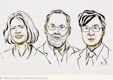 Nobel per la Medicina 2025: premiati Brunkow, Ramsdell e Sakaguchi per le scoperte sulla tolleranza immunitaria