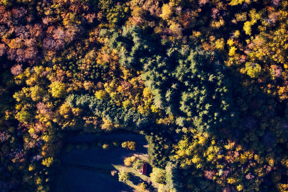 Toscana in 48 ore: alla scoperta della magia del foliage tra borghi e boschi d’autunno