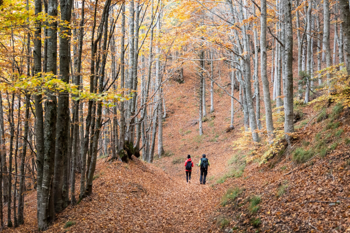 Toscana in 48 ore: alla scoperta della magia del foliage tra borghi e boschi d’autunno