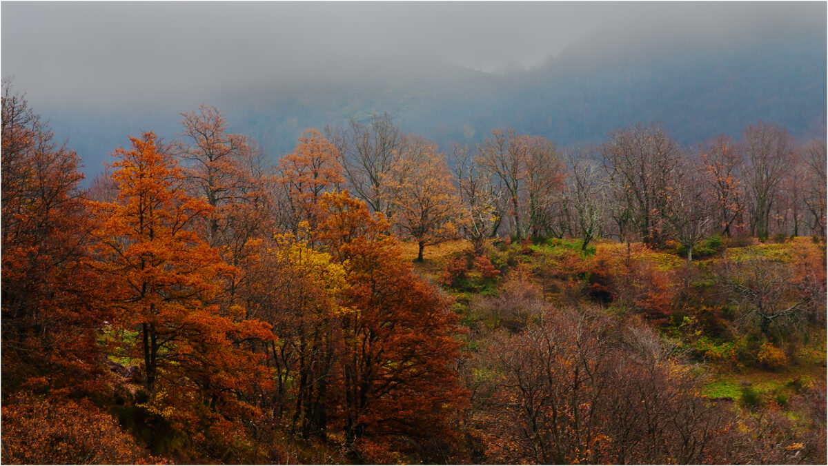 Toscana in 48 ore: alla scoperta della magia del foliage tra borghi e boschi d’autunno