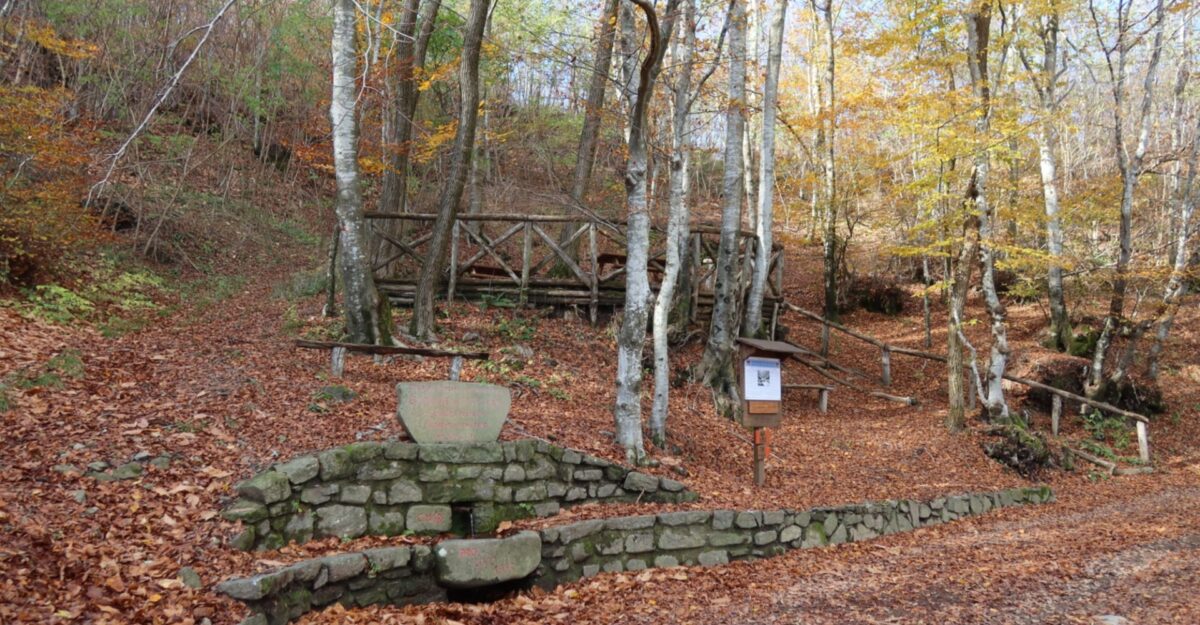Toscana in 48 ore: alla scoperta della magia del foliage tra borghi e boschi d’autunno