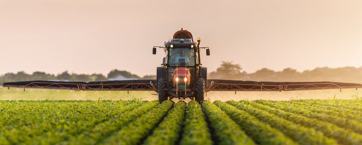 Agricoltura, l’Italia guida la svolta. Prodotti più sicuri, meno pesticidi (lo dicono i numeri) Agricoltura, l’Italia guida la svolta. Prodotti più sicuri, meno pesticidi (lo dicono i numeri)