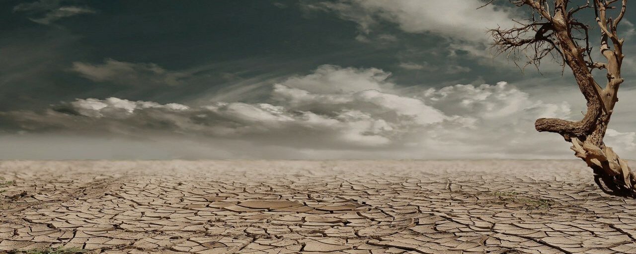 cambiamento climatico tutti si ravvedono ma l8217ue prosegue imperterrita e intanto il green continua a costarci caro