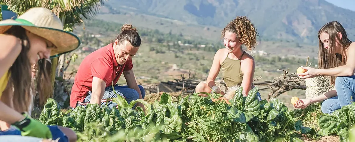 altro che influencer il 55 degli under 35 italiani sogna un futuro nei campi da Panorama.it altro che influencer il 55 degli under 35 italiani sogna un futuro nei campi