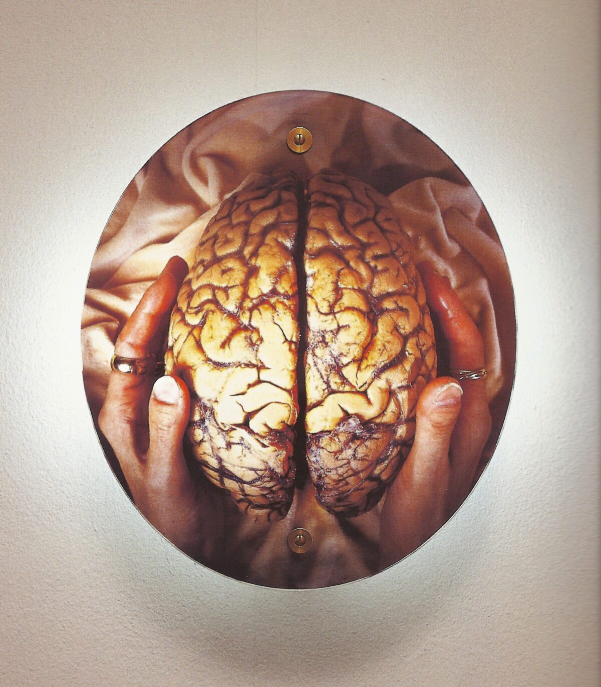 Il Museo Novecento di Firenze celebra le donne con le opere di Helen Chadwick Il Museo Novecento di Firenze celebra le donne con le opere di Helen Chadwick